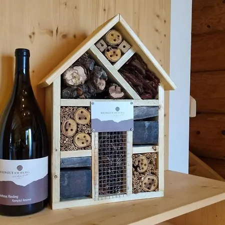 Chalet Resort Soelden * Sölden