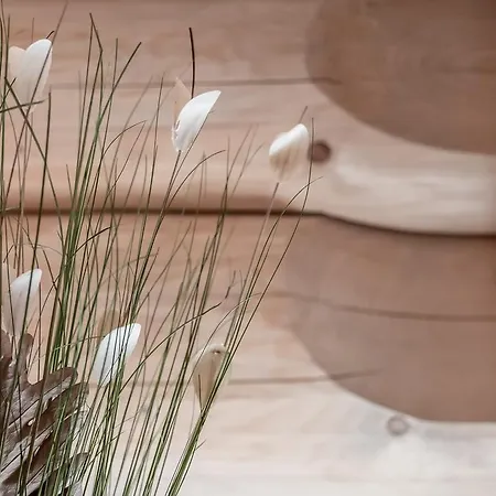 Chalet Chalet Resort Soelden Sölden