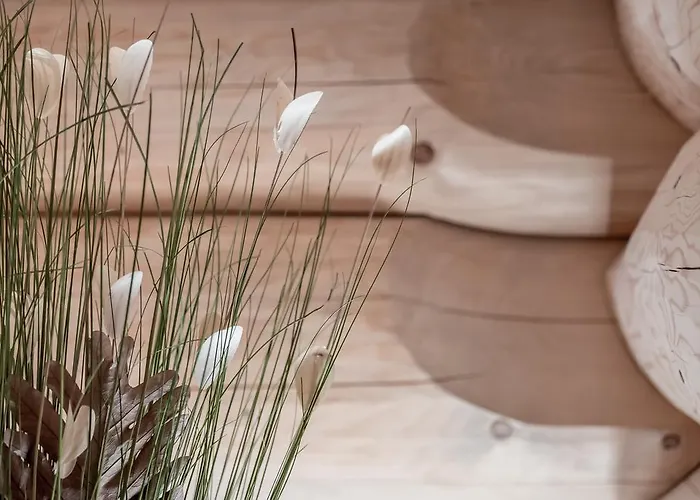 Σαλέ Chalet Resort Soelden Ζόλντεν